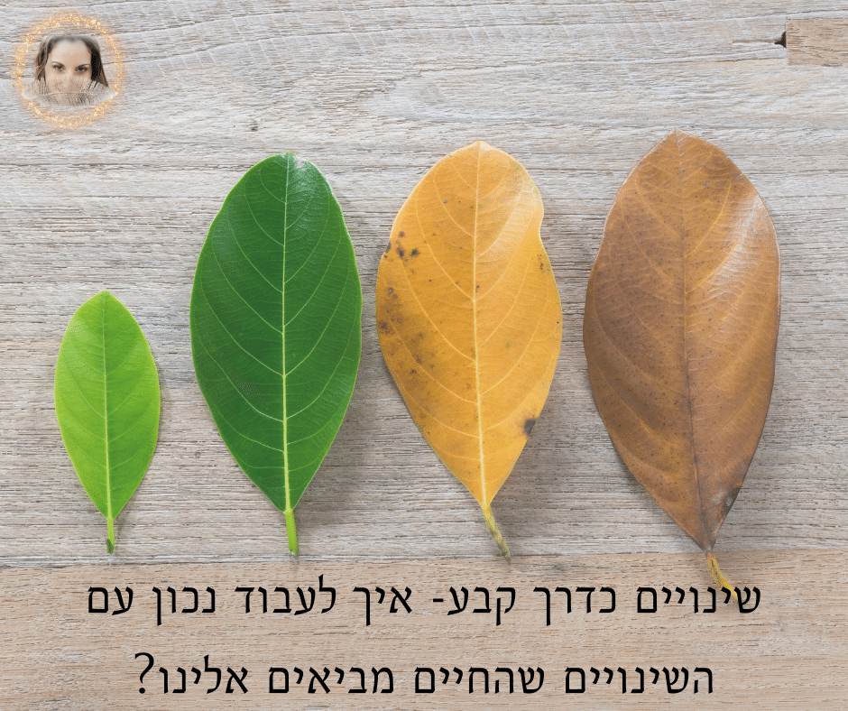 Read more about the article שינויים כדרך קבע- איך לעבוד נכון עם השינויים שהחיים מביאים אלינו?