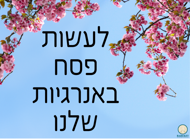 Read more about the article לעשות פסח באנרגיות שלנו