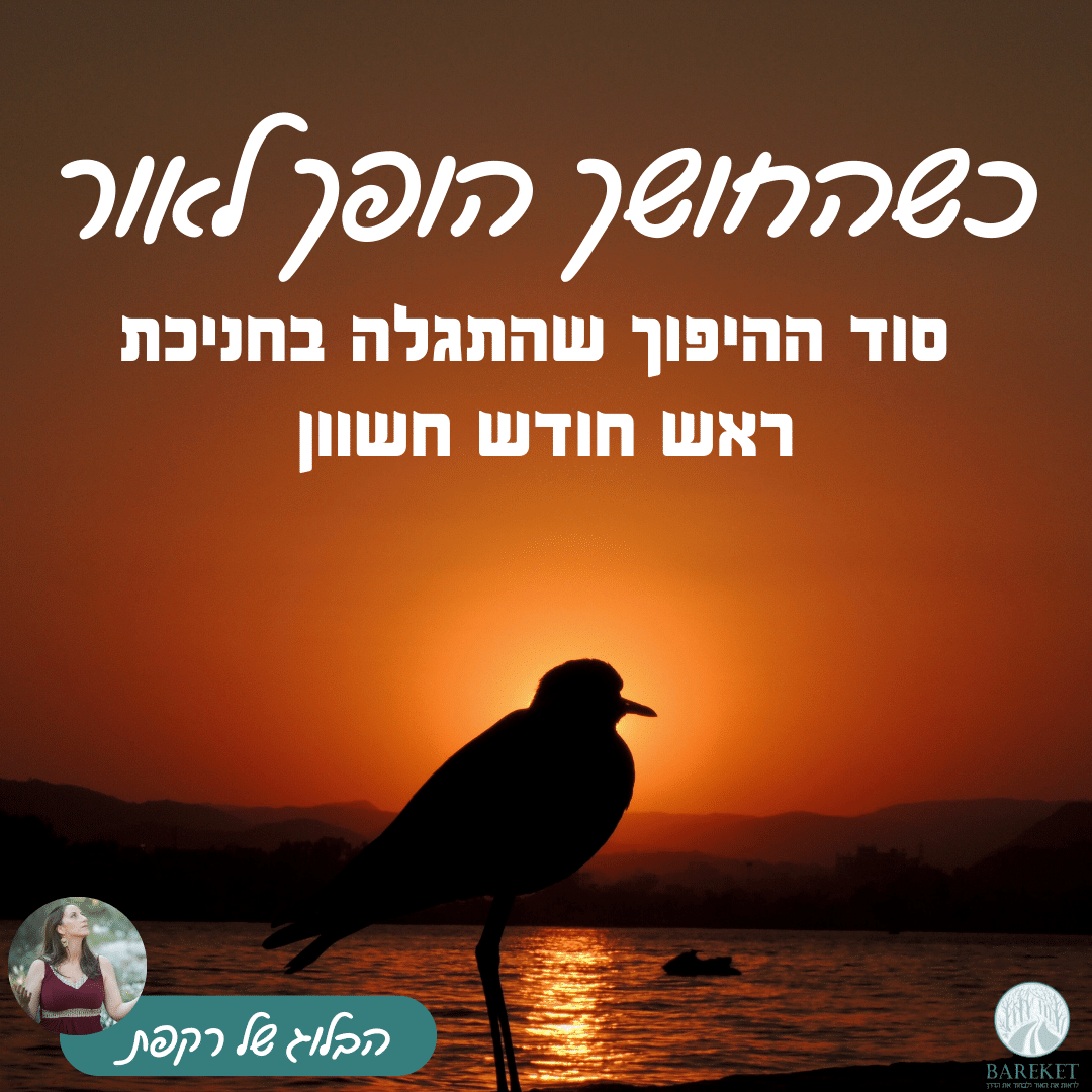 Read more about the article כשהחושך הופך לאור: סוד ההיפוך שהתגלה בחניכת ראש חודש חשוון